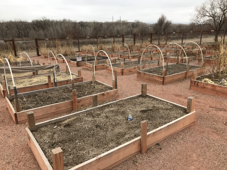 Duckwood Community Gardens El Paso County Extension